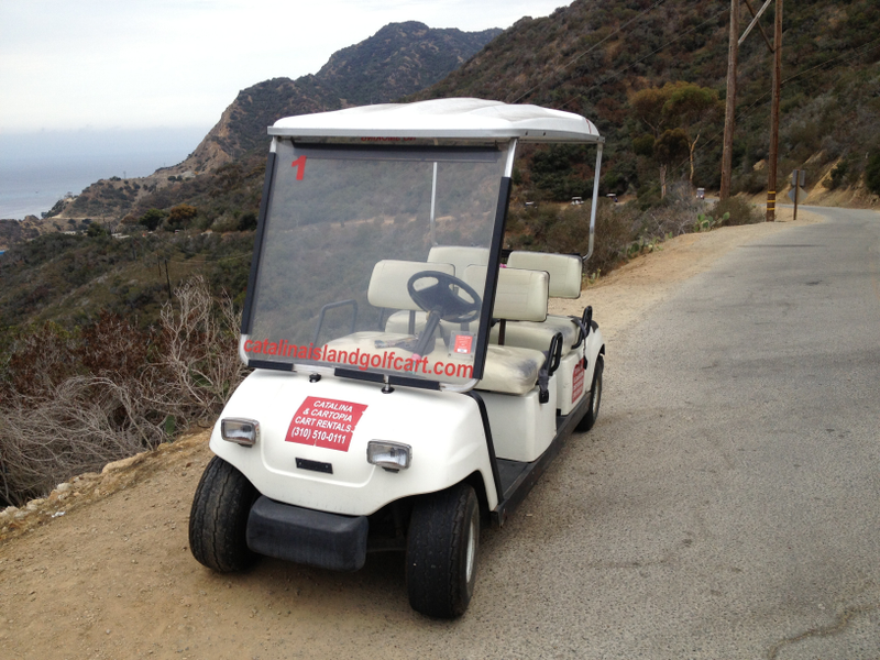 Illustration for article titled Catalina is the weirdest place in the world for car lovers